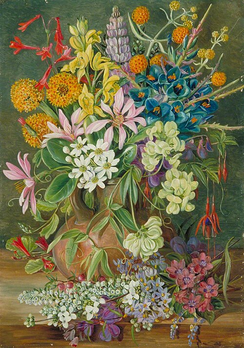 Wild Flowers of Chanleon, Chili, , Marianne North