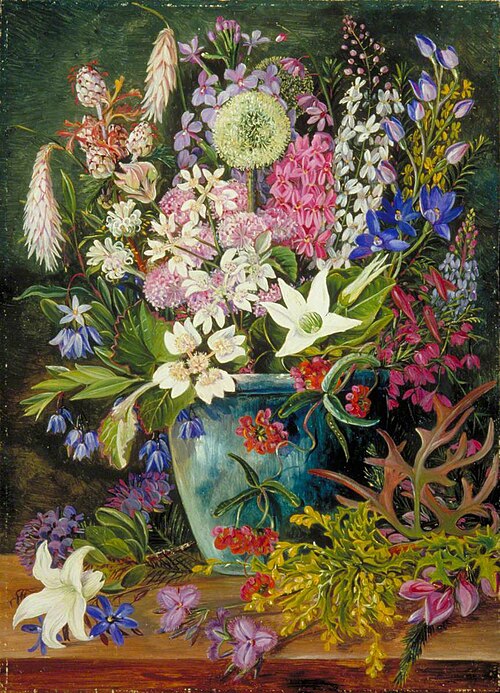 Wild Flowers of Albany, West Australia, , Marianne North