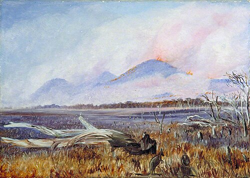 A Bush Fire at Sunset, Queensland, , Marianne North
