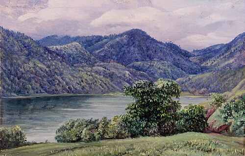 Mr Moffat's Farm, Queensland, , Marianne North