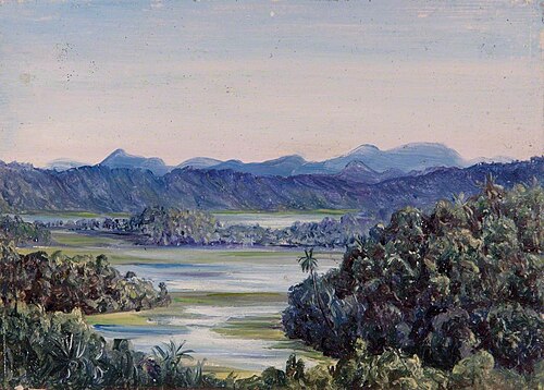 Warkwallah, Ceylon (Sri Lanka), , Marianne North