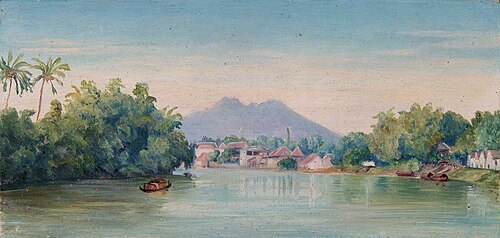 From Surabaza, Java, , Marianne North