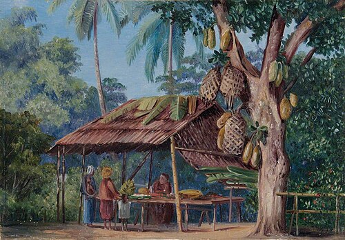 Jack Fruit Tree Shop, Malang, Java, , Marianne North