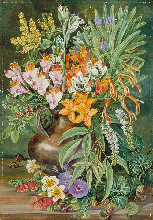 Some Wild Flowers of Quilpué, Chili, , Marianne North