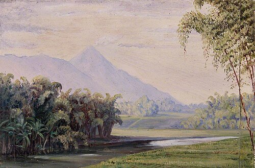 Java near Malang, Imeeroc, , Marianne North