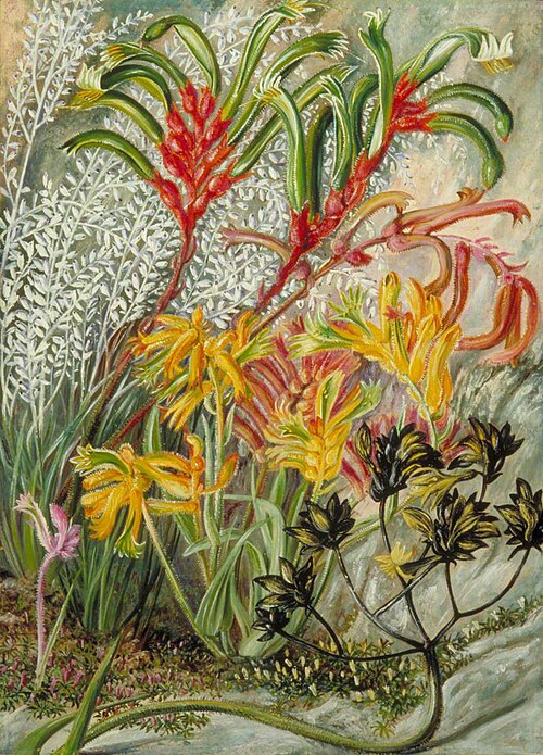 West Australian Flowers, , Marianne North