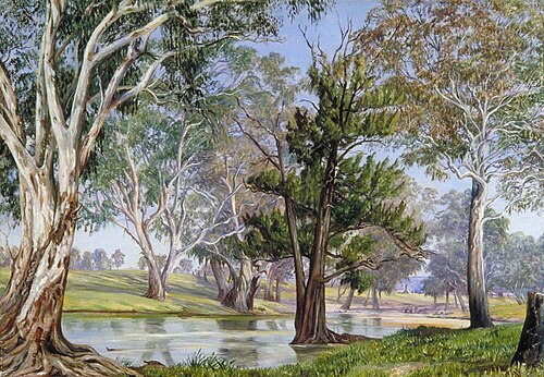 Plant and Animal Life at Mudgee, New South Wales, , Marianne North