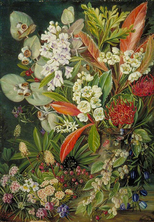 A Selection of Flowers from Mount Wellington, Tasmania, , Marianne North