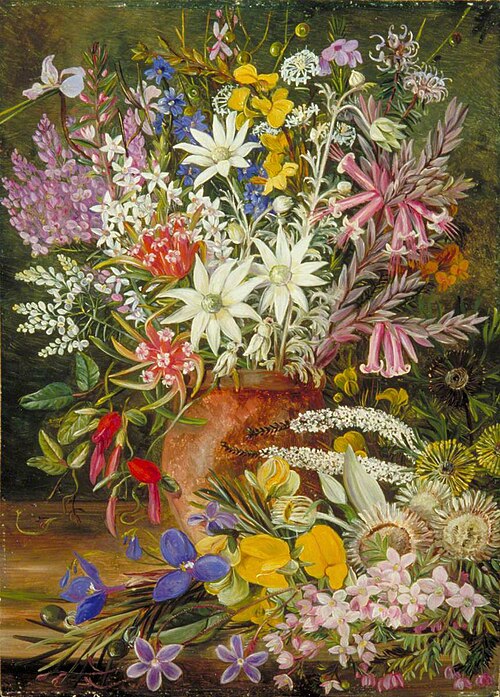 Wild Flowers of the Blue Mountains, New South Wales, , Marianne North