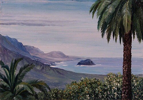Near Echod, Teneriffe, , Marianne North