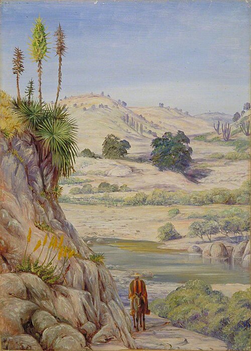 View near Quilpue, Chili, , Marianne North