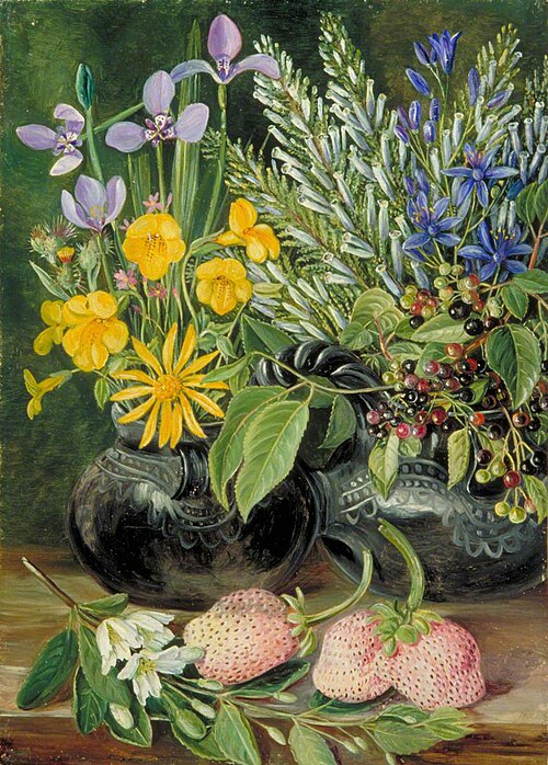 Chilian Flowers in Twin Maté Pot and Chilian Strawberries, , Marianne North