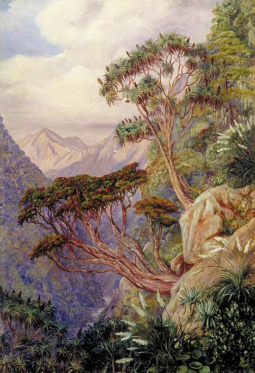 View of the Otira Gorge, New Zealand, , Marianne North