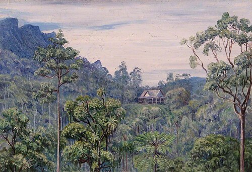 Tegoro, Sarawak, , Marianne North