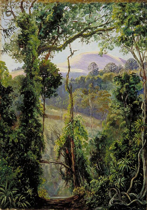 View Looking out of the Bunya Forest at the Summit, Queensland, , Marianne North