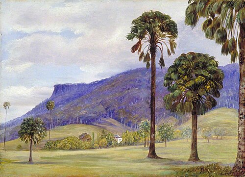 View of Illawarra, New South Wales, , Marianne North