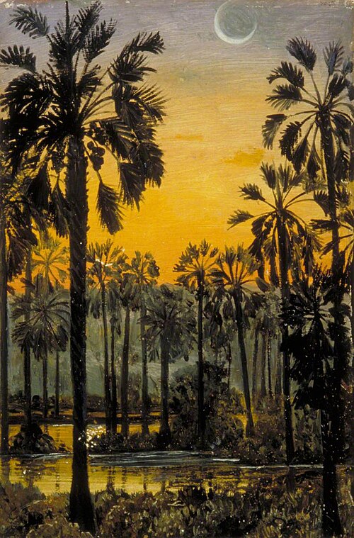 Palmyra Palms in Flood-Time, , Marianne North
