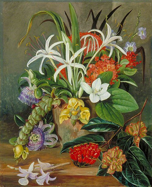 Group of Cultivated Flowers, , Marianne North