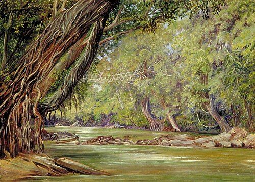 Cobweb Bridge in Borneo, Made by the Dyaks with Rattans and Bamboos, , Marianne North