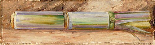 A Piece of Sugar Cane, , Marianne North