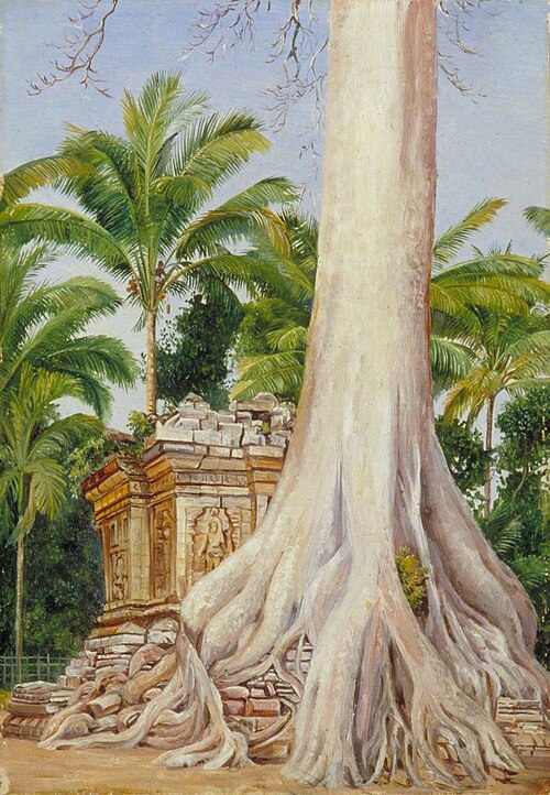 Pawan Durfur, , Marianne North