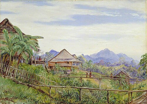 Houses and Bridges of the Malays at Sarawak, Borneo, , Marianne North