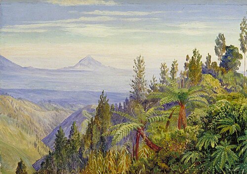 The Ardjuno Volcano from Tosari, Java, 1876, Marianne North