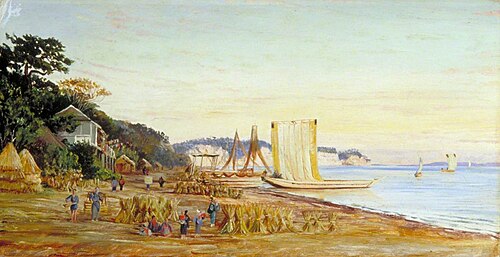 Rice Drying on the Sea-Shore near Yokohama, Japan, 1876, Marianne North