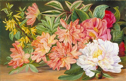 Japanese Flowers, 1876, Marianne North