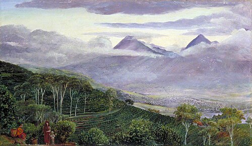 The Papandayang Volcano, Java, Seen from Mr Hölle's Tea Plantations, 1876, Marianne North