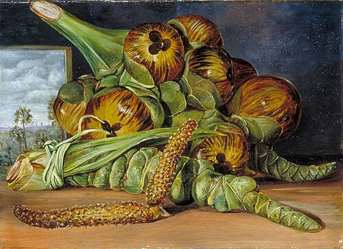 Flowers and Fruit of the Palmyra, and the Palm Seen through a Window, Java, 1876, Marianne North
