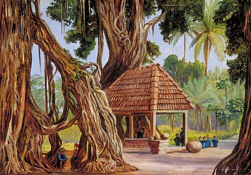 Banyan Tree at Passu Gulag near Diocio, Java, 1876, Marianne North