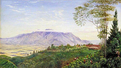 Tea Gathering in Mr Hölle's Plantation at Garoet, Java, 1876, Marianne North