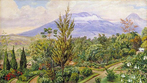 The Gader Volcano, Java, from Sindang Laya, 1876, Marianne North