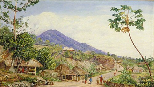 Roadside View from Sindang Laya, Java, 1876, Marianne North