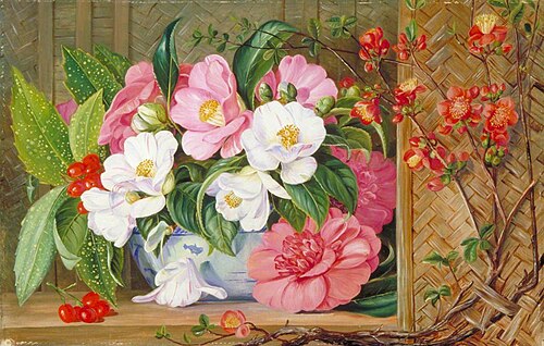 Japanese Flowers, Painted from Plants Cultivated in This Country, 1876, Marianne North