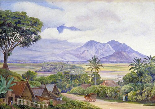View from Malang, Java, 1876, Marianne North