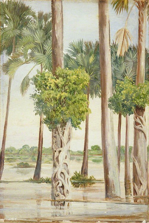 Palmyra Palms and Epiphytal Trees in Flood-Time, Java, 1876, Marianne North