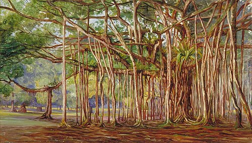Banyan Trees at Buitenzorg, Java, 1876, Marianne North