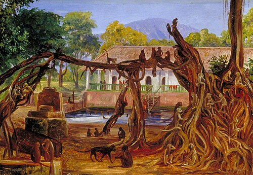 Blauwater, Pasoeroewan, Java, 1876, Marianne North