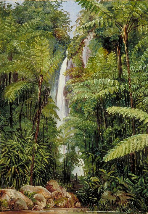 Cascade at Tji Boddas, Java, 1876, Marianne North
