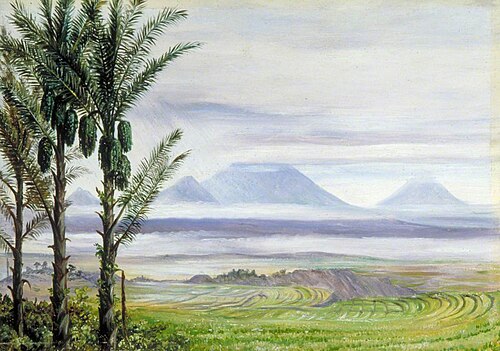 Volcanoes from Temangong with Sugar Palms in the Foreground, Java, 1876, Marianne North