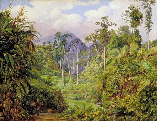 A Clearing in the Forest of Tji Boddas, Java, with Bank of Tree Ferns, 1876, Marianne North