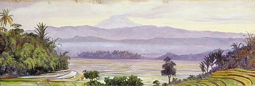 The Kluet Volcano from Ngantang, Java, 1876, Marianne North