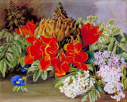 Cultivated and Wild Flowers, Jamaica, 1872, Marianne North