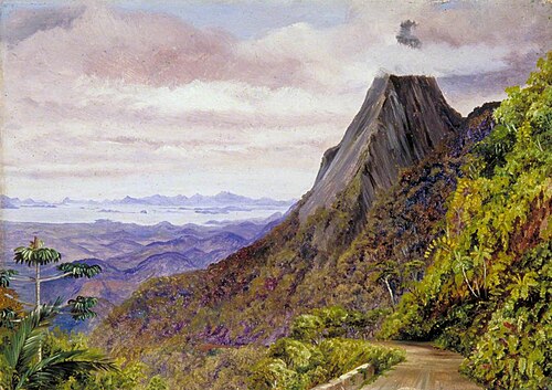 Organ Peak at Theresoplis and Bay of Rio Below, 1873, Marianne North