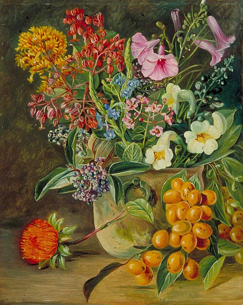 Group of Brazilian Forest Wild Flowers and Berries, 1873, Marianne North