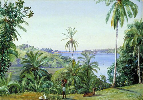 Some of Mrs Cameron's Models with Cocoanut and Teak Trees, Kalutara, Ceylon, 1877, Marianne North