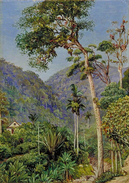 Glimpse of Mr Weilhorn's House at Petropolis, Brazil, 1873, Marianne North