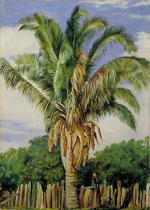 Indian Palm at Sette, Lagoa, Brazil, 1873, Marianne North